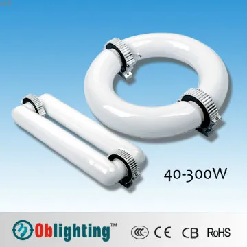 Ring and rectangular magnetic induction lighting