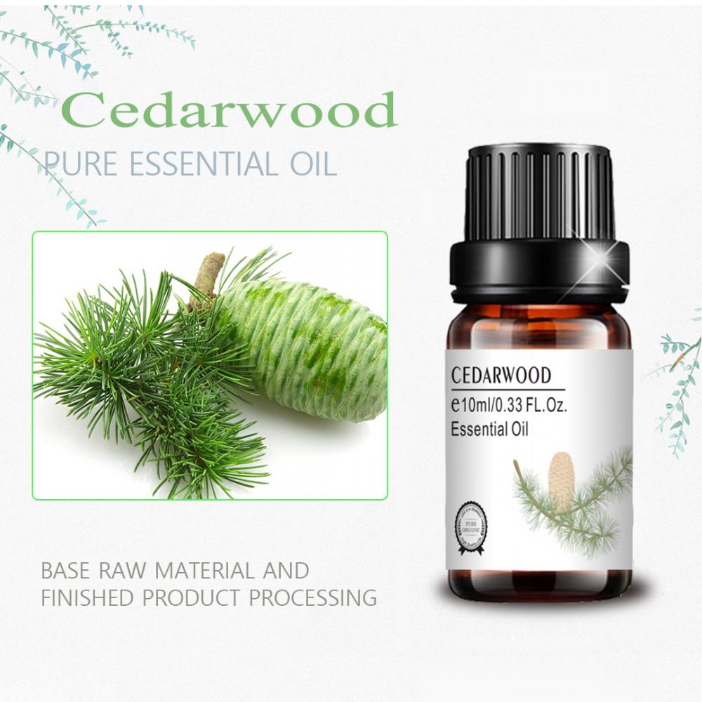 Brand Cedar wood essential oils 100% pure plant extract