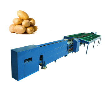 Rotary Dragon Fruits Weight Sorter Machine