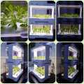 Intelligent 30holes hydroponic planter