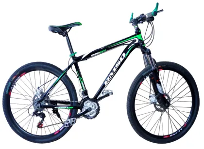 Folding Giant Mountain Bicycle MTB for Men