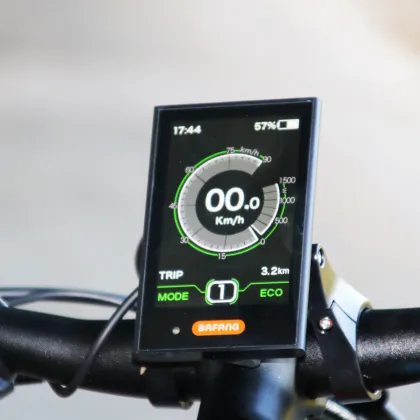 Rohloff 14-Speed Electric Hybrid Bike with Bafang Motor and Dual Batteries