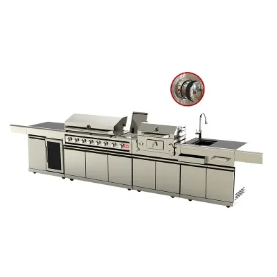 Stainless Steel Family Use Elegant BBQ Outdoor Kitchen Sink Cabients Charcoal Gas Grill