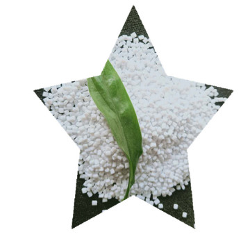Global Market Trends for Polyethylene Terephthalate (PET) Resin Powder and Virgin PET Granules