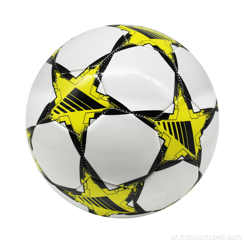 جلدية مخصصة الشعار المطبوعة كرة كرة قدم رخيصة