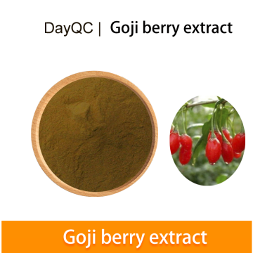 Estratto di polvere di bacche di goji in blocco 40%