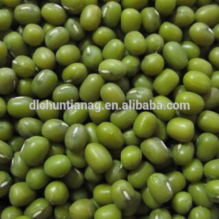 organic mung bean