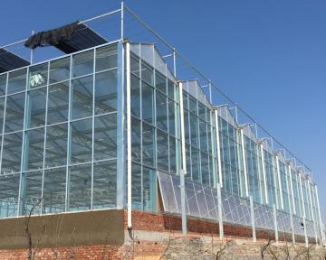 Sun Panel Glass Greenhouse