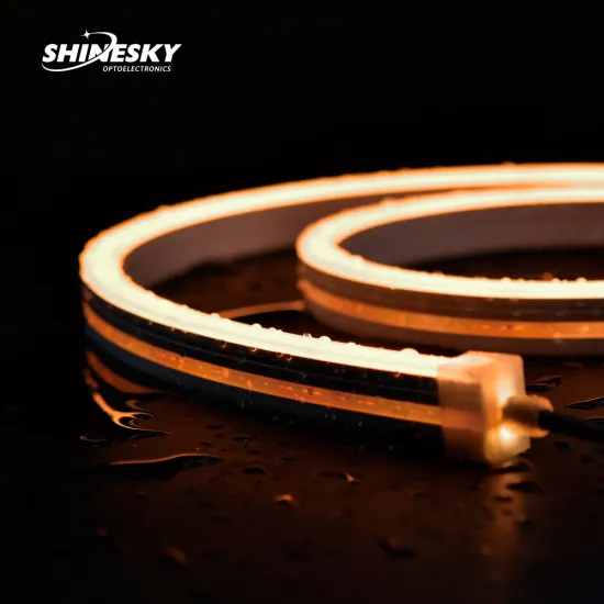 Waterproof DC24V RGBW IP67 Silicone Neon Strip for Outdoor Engineering Lighting