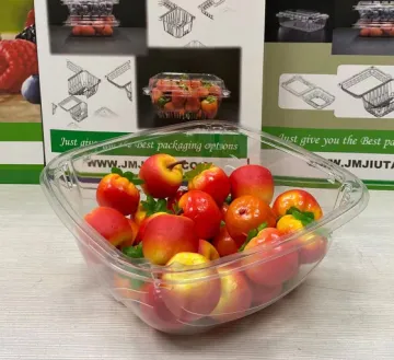 Clear Disposable Tomato Tub