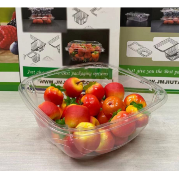 Clear Disposable Tomato Tub