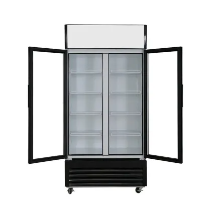 2022 Flower Cabinet Preservation Refrigeration Equipment: Cabinet Refrigerators and Evaporative Coolers