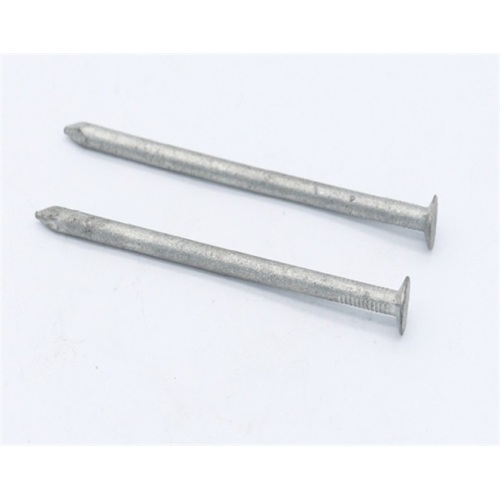 Common Nails Hot Dipped Galvanized Common Nail Manufactory