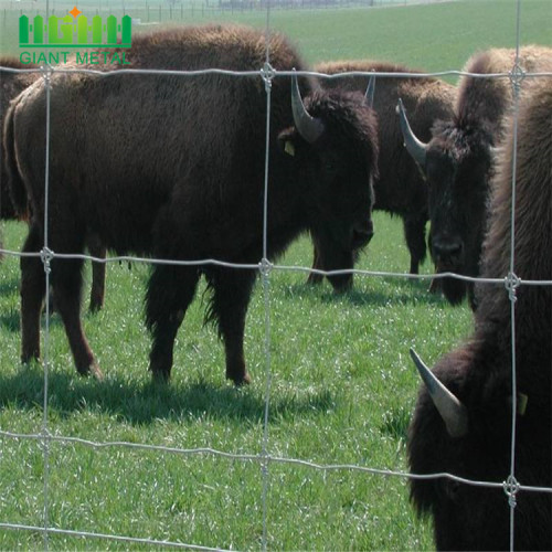 Popular Fixed-Knot Deer Fence Farm Fence in Africa