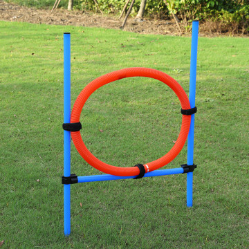 Halangan Dog Agility Jump Agility Dog Hales haiwan peliharaan