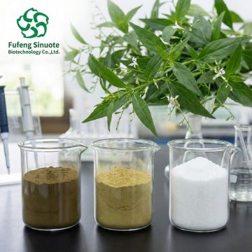 Food Flavor Enhancer Yeast Extract Powder Yeast