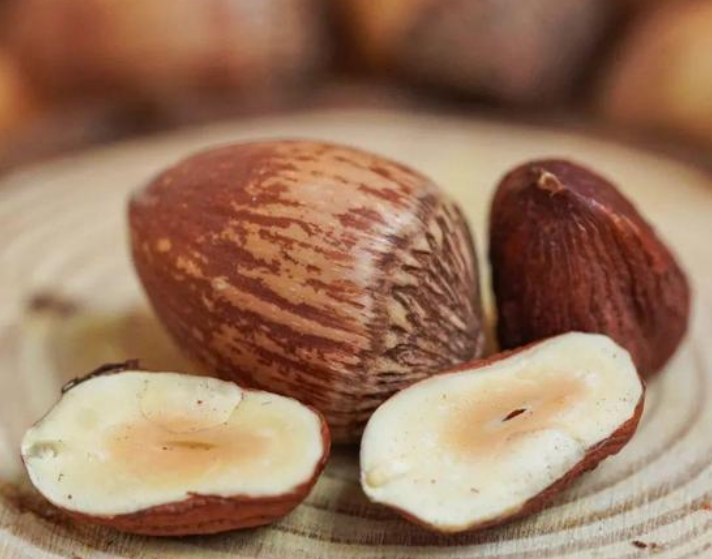 Leopard Hazelnuts (4)