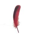 Fashionable Dyed Goose Feather