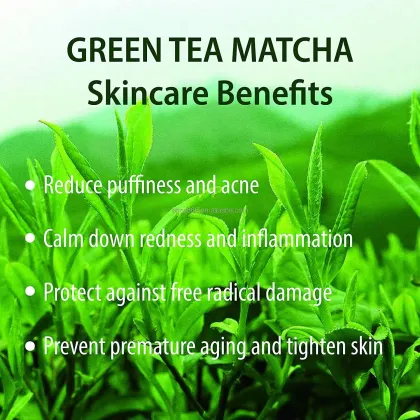 Private Label Green Tea Matcha Facial Mud Mask