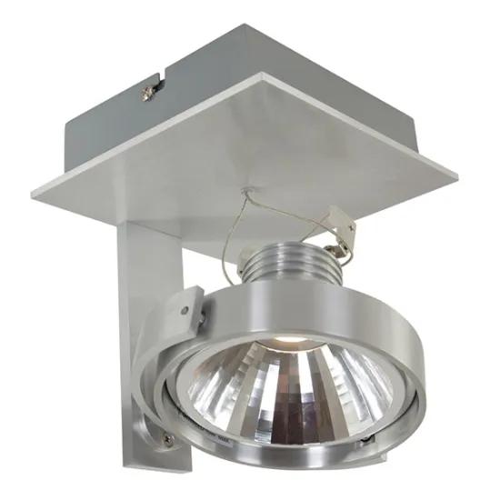 LED wall and ceiling spot light