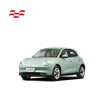 2023 ORA Nice Cat 401km DLX China Great Wall Motor - New Energy Electric Car