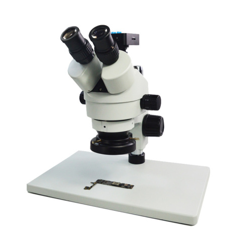 China trinocular stereo microscope with 38mp digital camera Supplier