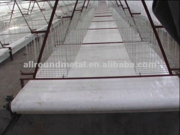 PP belt for manure