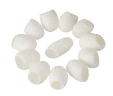 New! Silkworm Cocoon Facial Cleansing Ball