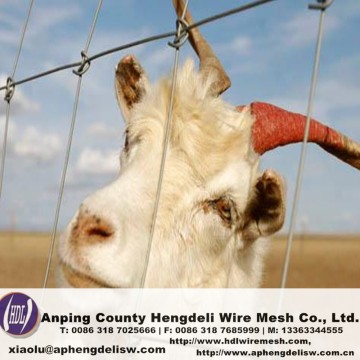 High quality!!!Kraal Network/Cheapest!!Cow fence wire mesh/ kraal network grassland fencing/field fence