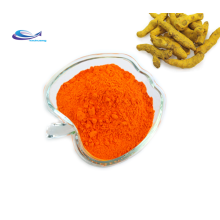 YXchuang Supply turmeric Extract Curcumin