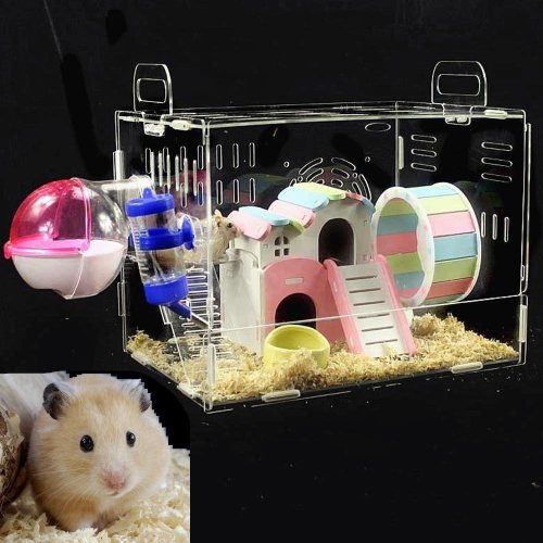 factory direct sale high quality pet hamster supplies