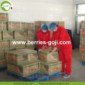 Suministro de fábrica secado todo tipo de Goji Berry