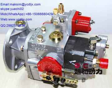 injection pump