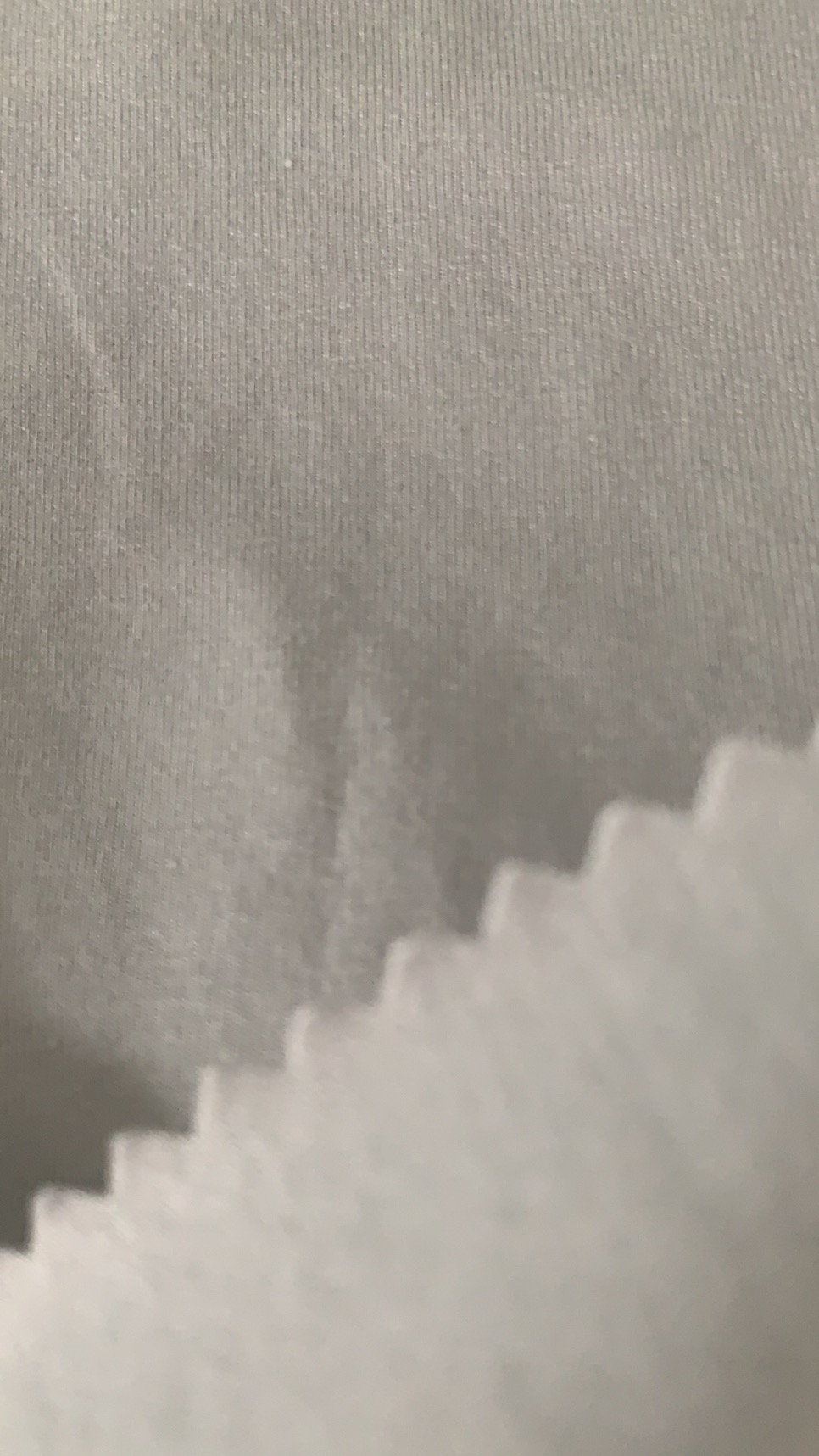 Cotton Jersey Jpg