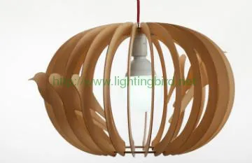 rise and fall pendant light