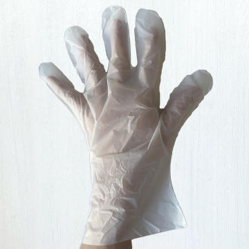 Compostable Food Service Gloves Derived from Cornstarch