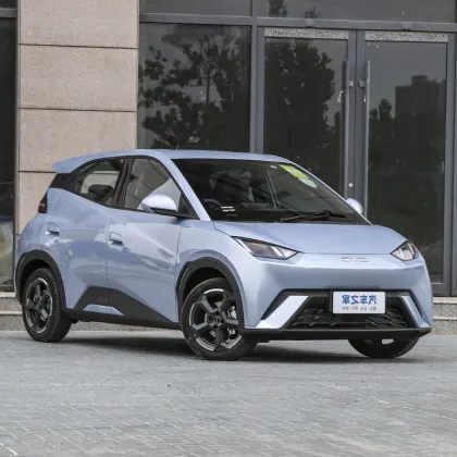 2025 BYD Seagull New Energy Vehicle: Small Adult Car Overview