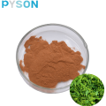 Polifenoles de extracto de té verde 90% UV
