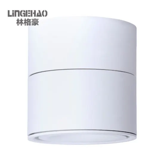 shop lighting 12W led track light CE CCC SAA Guzhen light fixture