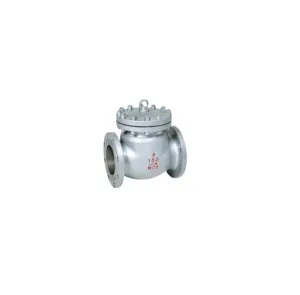 ANSI B16.34 Swing Check Valve