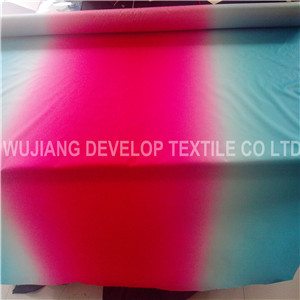 Woven Printed Polyester Taffeta Fabric with Down Proof for Down Jacket (DT3047)