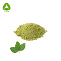 Bio -OEM -Versorgung Alfalfa -Blattextrakt 99% Pulver