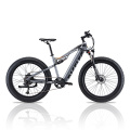 Fat Tire High Power Offroad Electric Mountainbike