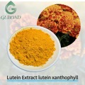 Экстракт лютеина, лютеин-ксантофилл для здоровья глаз.