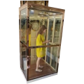 Glass Home Elevator Cost /Price