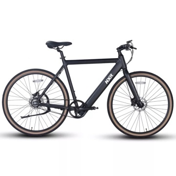 Lightweight Integrated Hidden Battery Electric Road Bike