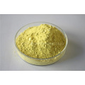 Panax Ginseng extract ginsenosides