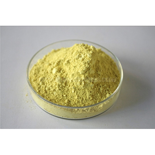 Panax Ginseng extract ginsenosides