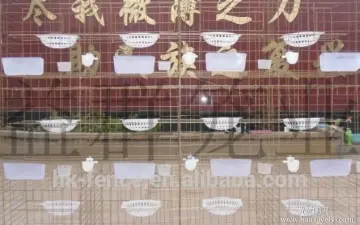 Size customize bird cage pigeon racing breeding,new bird cage as poultry breeding equip,pigeon racing bird cage in poultry farm