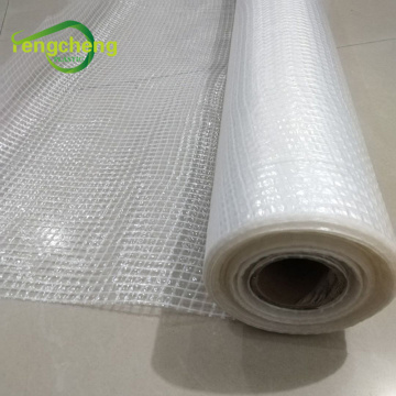 HDPE leno mesh tarpaulin scaffold sheet